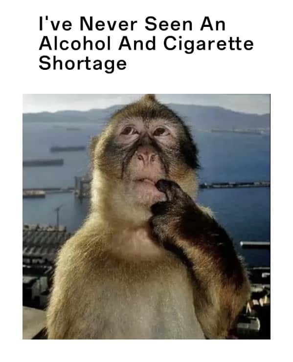 Thinking monkey meme ponders no alcohol and cigarette shortage