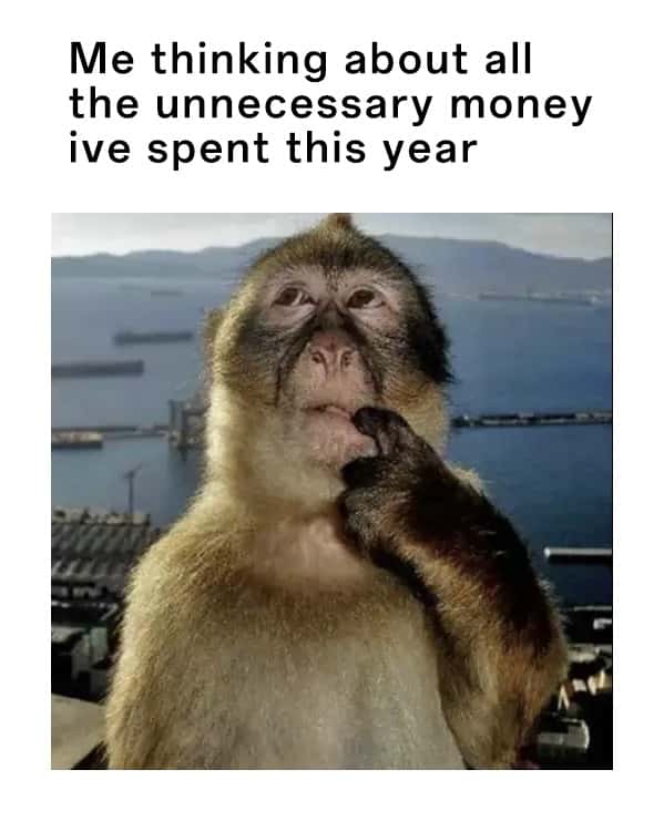 Thinking monkey meme thinking about unnecessary money spent this year