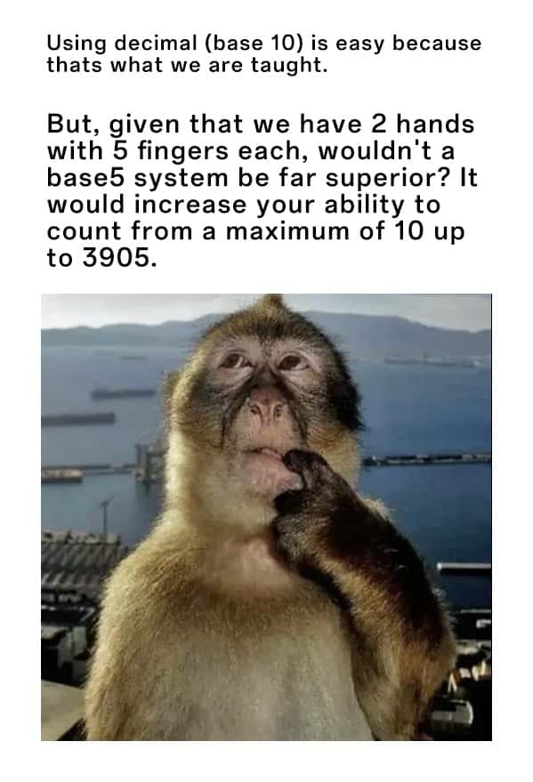 Thinking monkey meme proposing base 5 counting