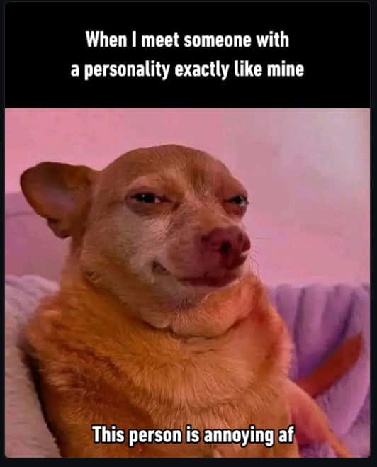 Relatable Dog Meme Joking About Finding Own Personality Annoying
