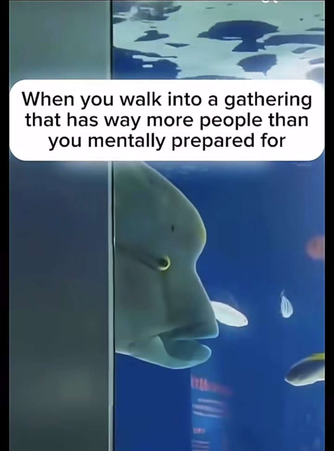 Relatable Introvert Party Meme: Mentally Unprepared For Gathering
