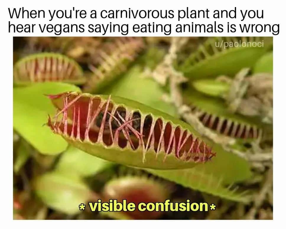 Venus flytrap visible confusion meme viral