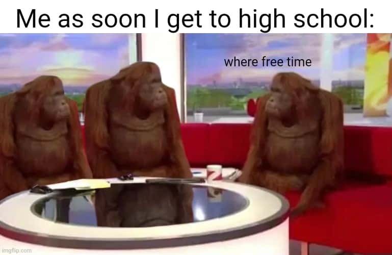 Where banana meme looking for free time in high school