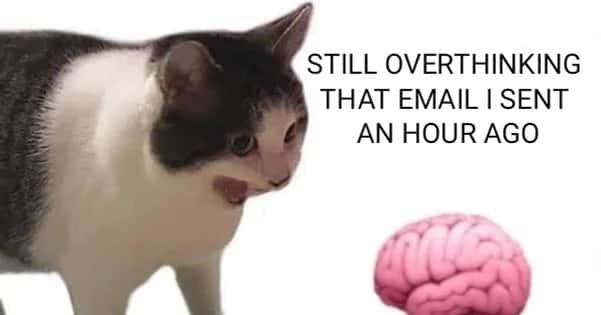 Why it empty cat meme overthinking the email sent an hour ago Why it empty cat meme overthinking the email sent an hour ago