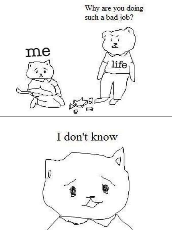 Life Blaming Me Meme