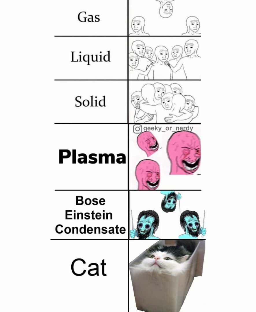 Wojak meme showing different phases of matter funny version