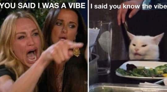 Woman yelling at a cat meme about vibe conversation misunderstanding Woman yelling at a cat meme about vibe conversation misunderstanding