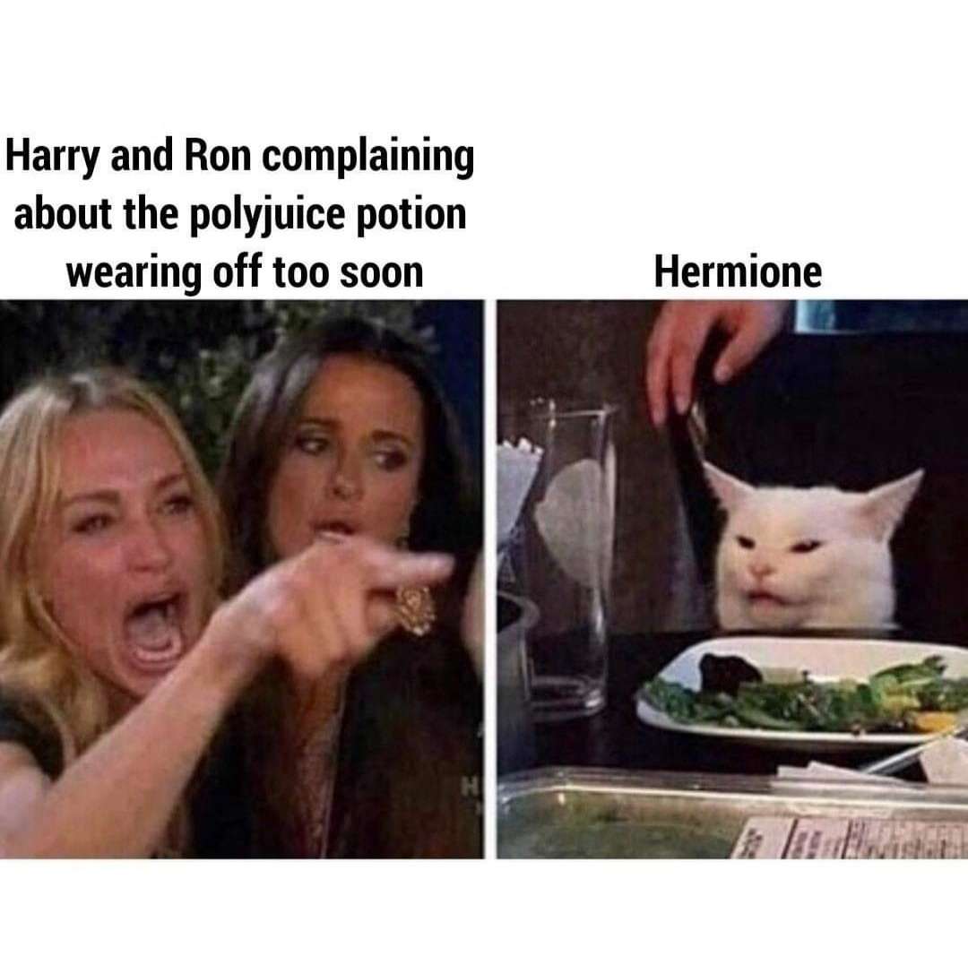 Woman yelling at a cat meme about hermione and polyjuice potion disaster Woman yelling at a cat meme about hermione and polyjuice potion disaster