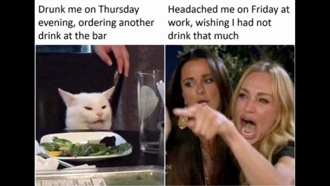 Woman yelling at a cat meme about work hangover after a night out Woman yelling at a cat meme about work hangover after a night out