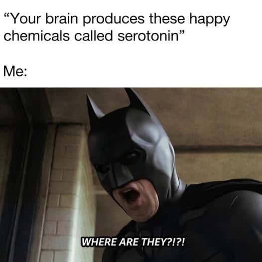 Batman Meme: Where Is My Serotonin Funny