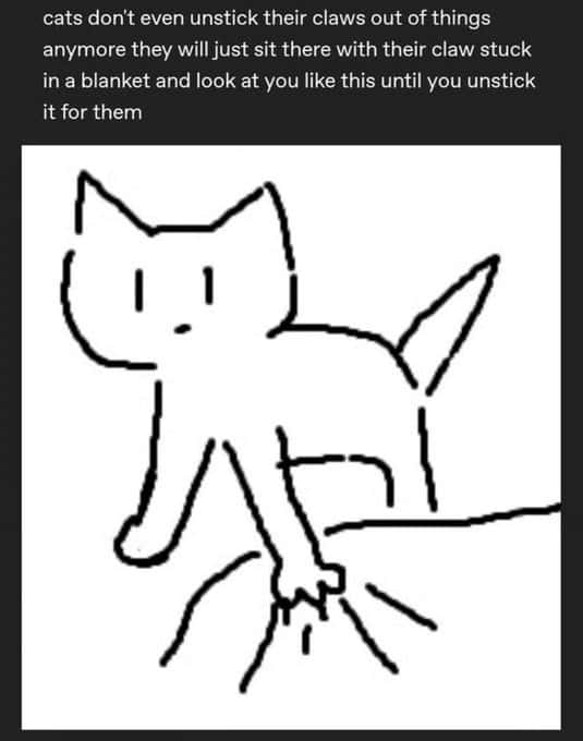 Cat meme showing how cats get their claws stuck and stare at you