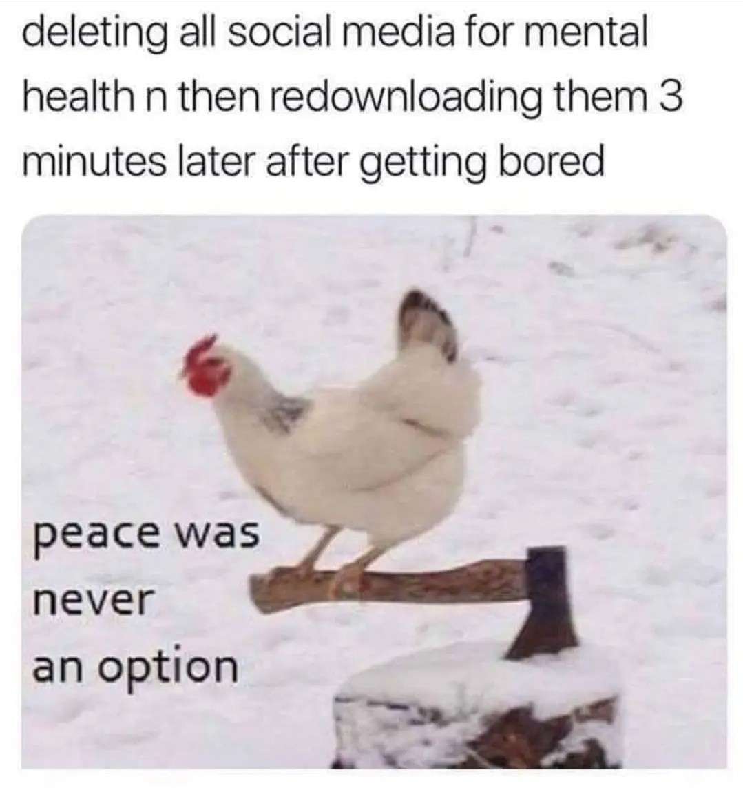 Funny chicken on axe meme showing failed mental health social media break