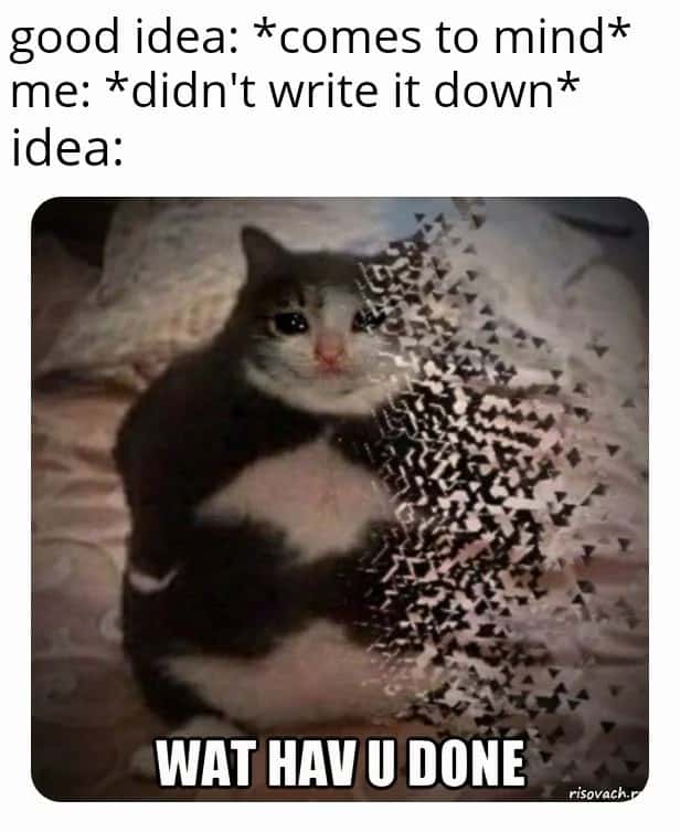 Cat disappearing meme forgot good idea