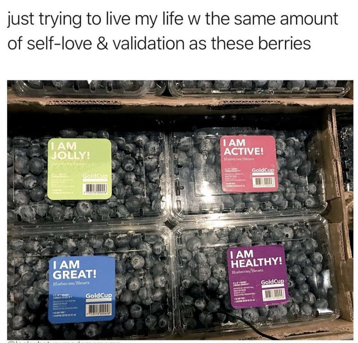 Blueberry containers with positive labels about self love