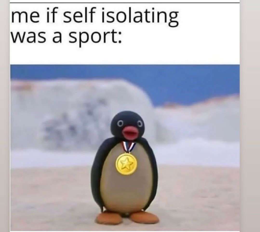 Pingu With Gold Medal Self Isolation Meme