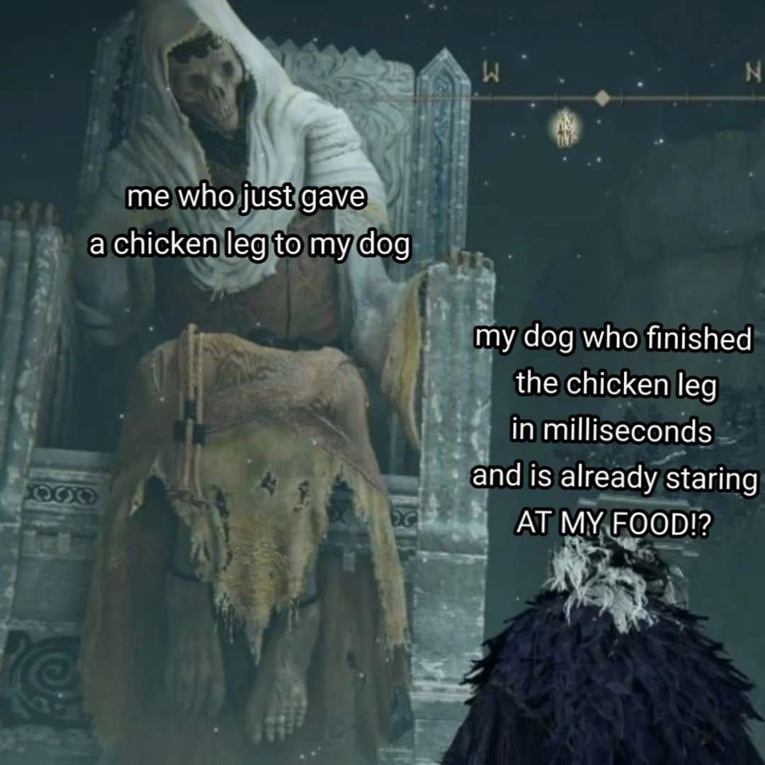 Elden Ring meme of dog staring at owner's food after eating chicken leg