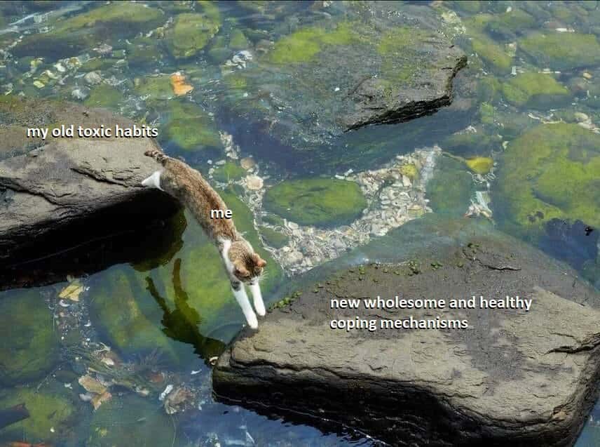 Relatable Meme About Trying To Leave Toxic Habits For New Healthy Coping Skills