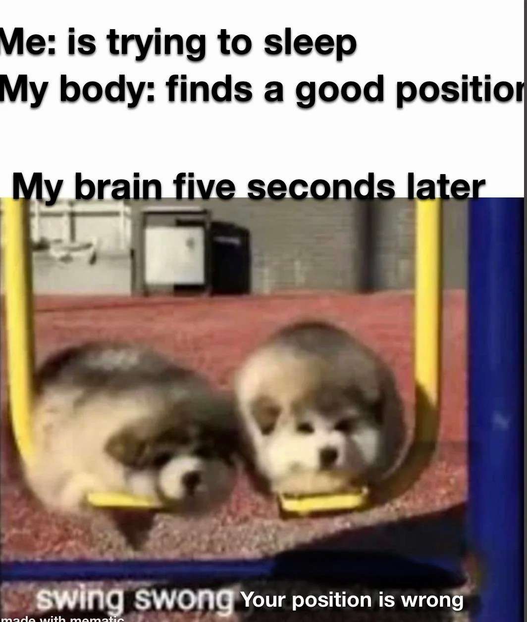 Sleep struggle meme with puppies on swing judging your sleeping position