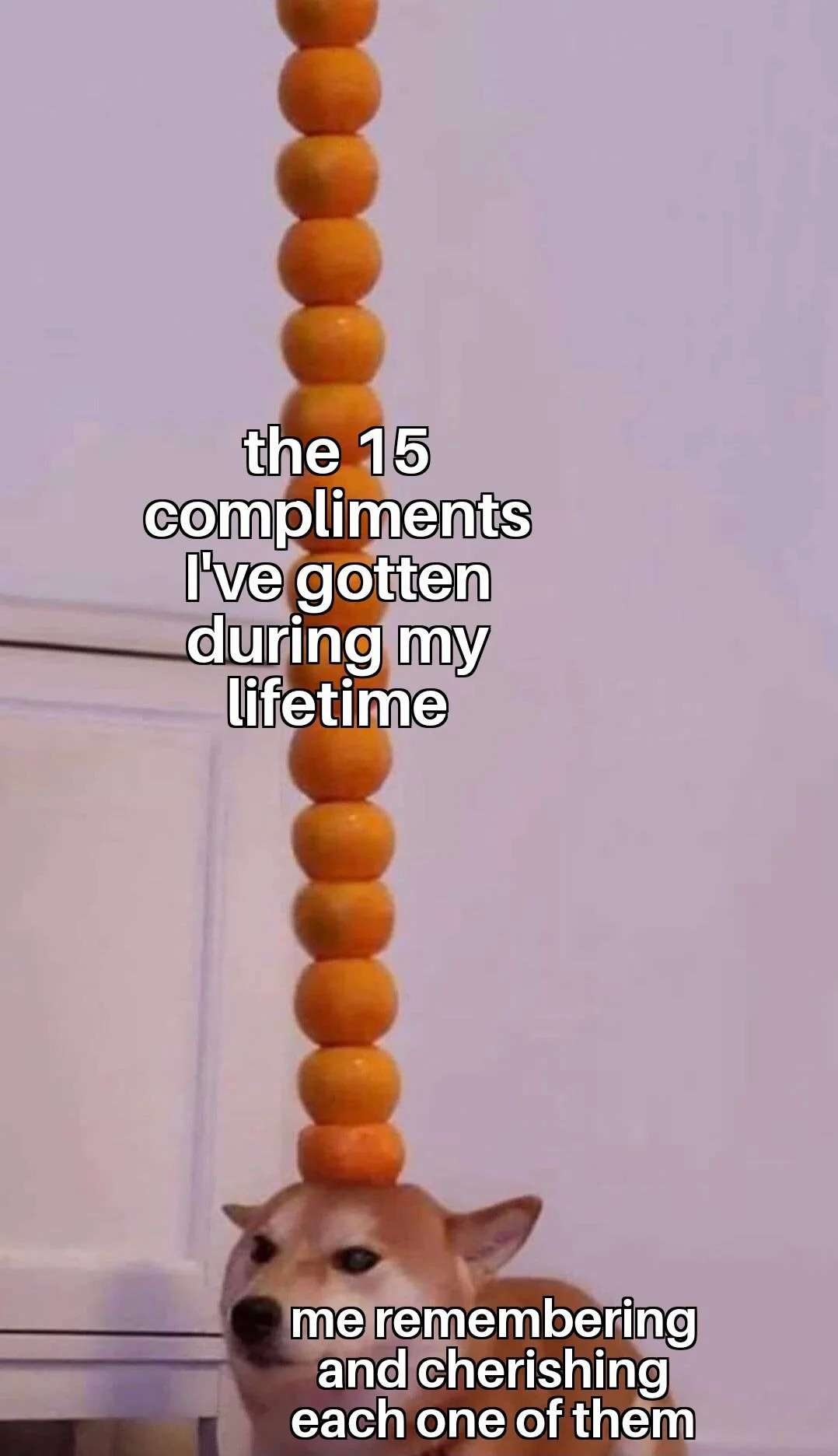 Shiba inu orange stack meme about remembering every compliment