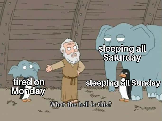 Family Guy Noah's Ark Meme About Weekend Sleep Schedule