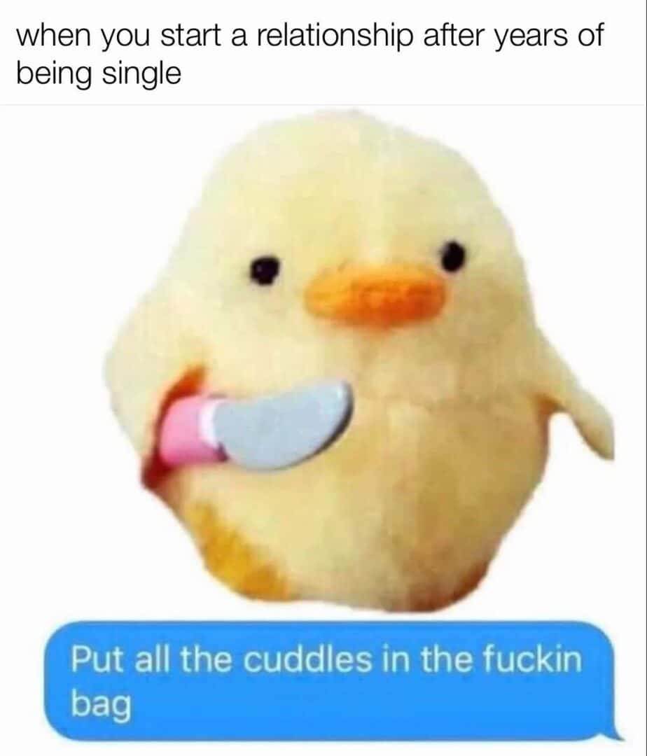 Duck with knife meme about starting a relationship after years single