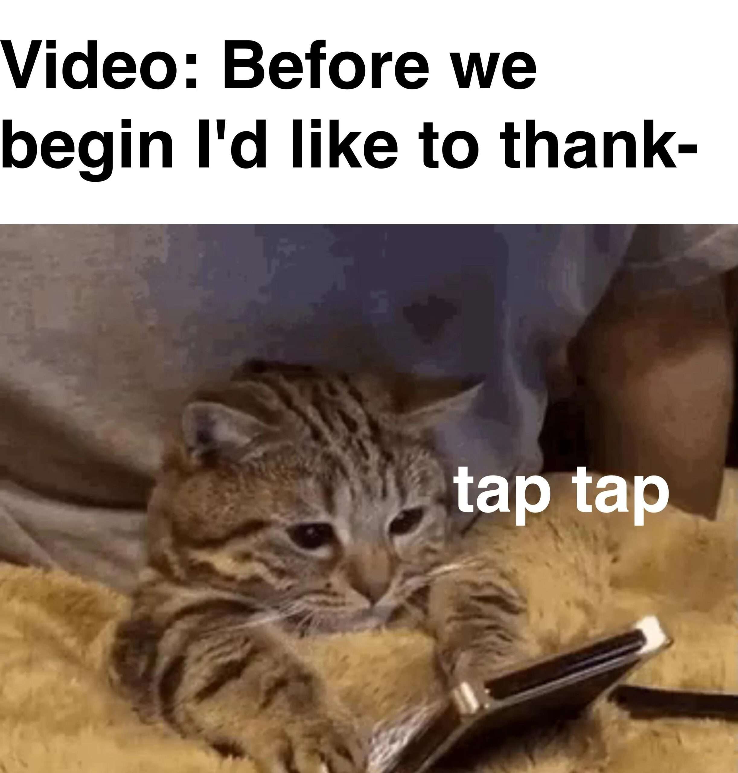 kitten meme tapping phone before someone begins thanking people in a video