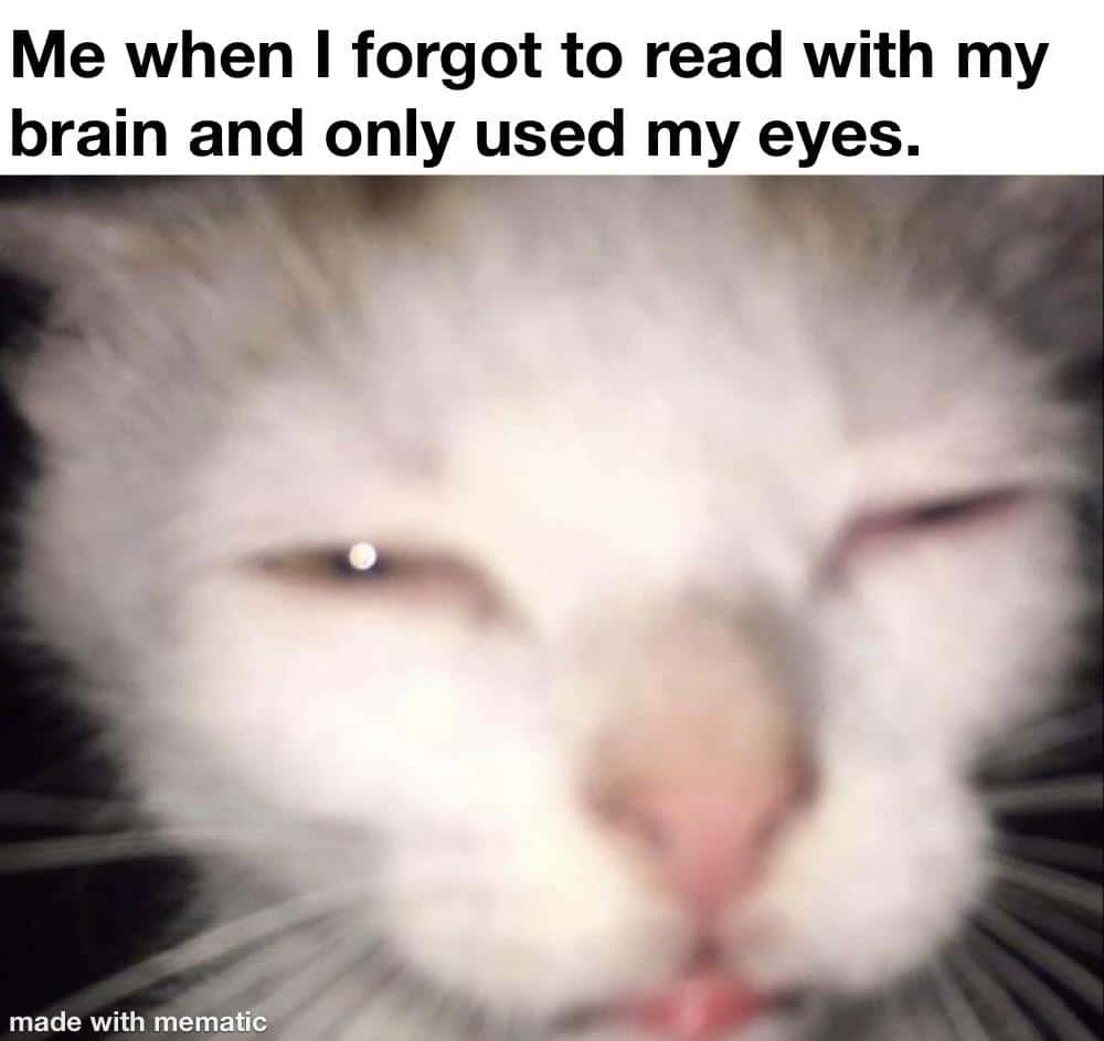 Cat Memes