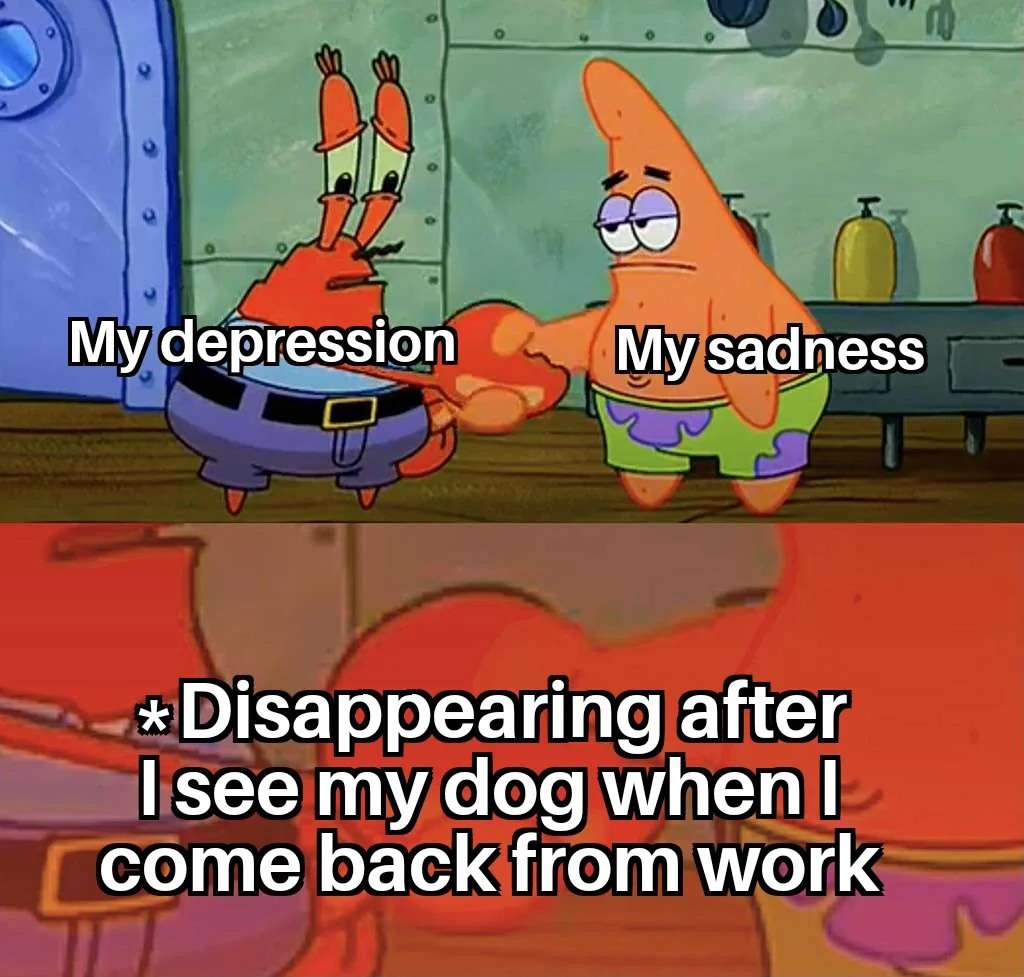 Spongebob meme showing sadness disappearing after seeing dog