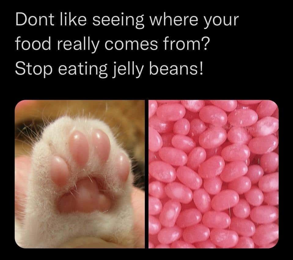 Cat meme pink cat toe beans are the secret source of pink jelly beans