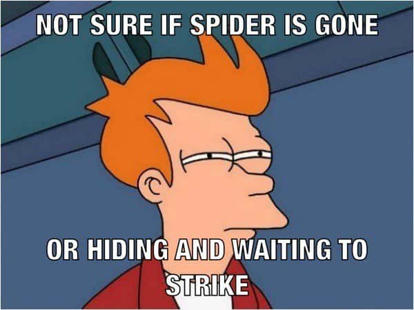 Futurama fry suspicious meme spider hiding and waiting