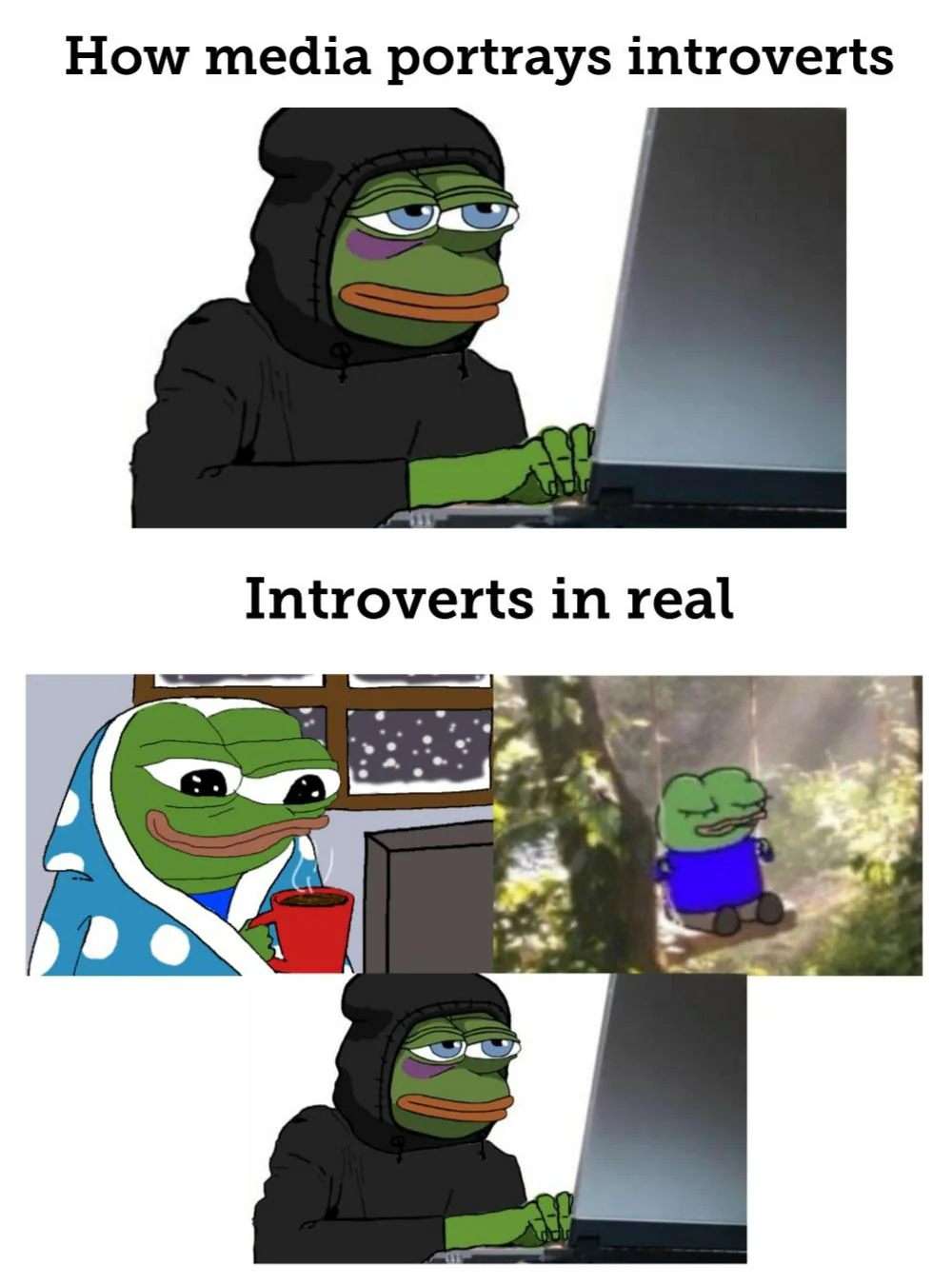 Pepe meme media portrays introverts vs introverts in real