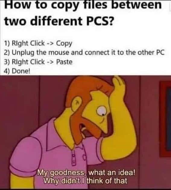 Simpsons guy meme facepalming at dumb trick to copy files between two different pcs