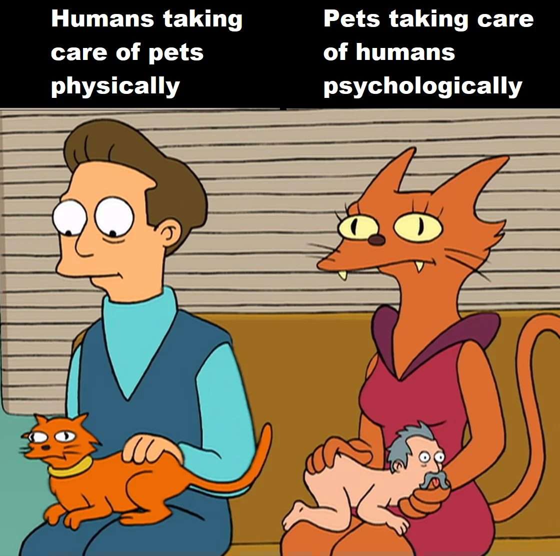 Cat meme futurama orange alien cat pets tiny human on its lap
