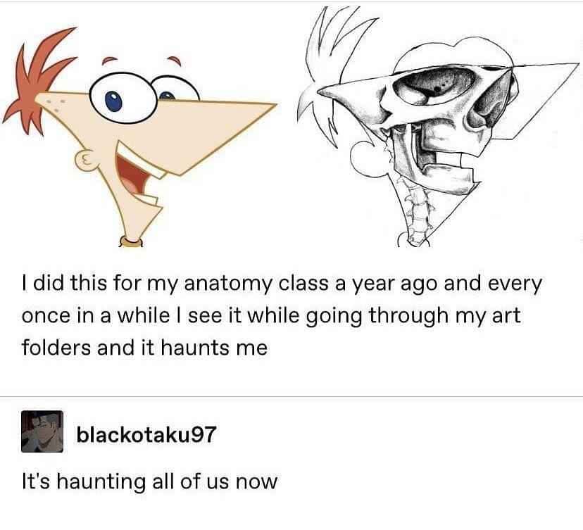 Phineas anatomy drawing meme haunting everyone who sees it