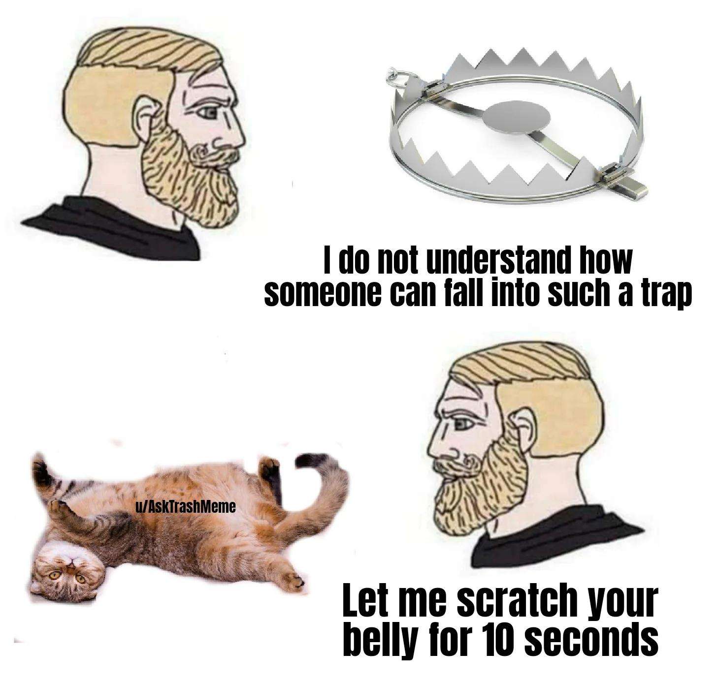 Cat meme, man mocks bear trap then falls for belly rub trap