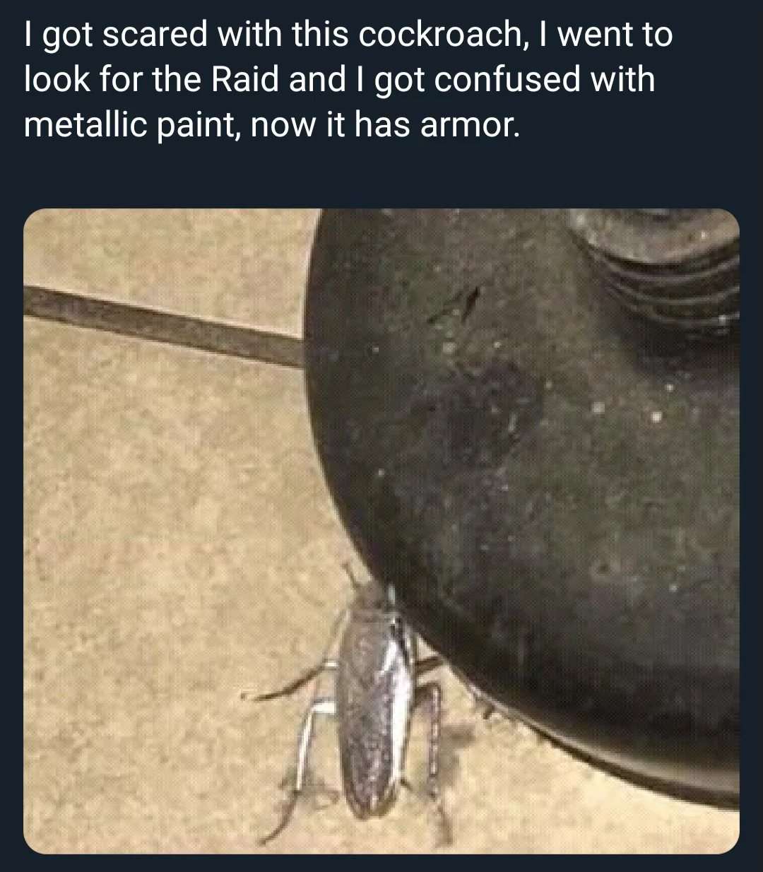 Cockroach meme got armor after Raid confusion