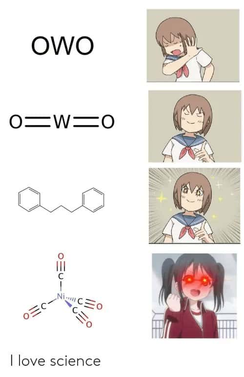 Anime girl meme getting excited over owo chemistry puns and loving science
