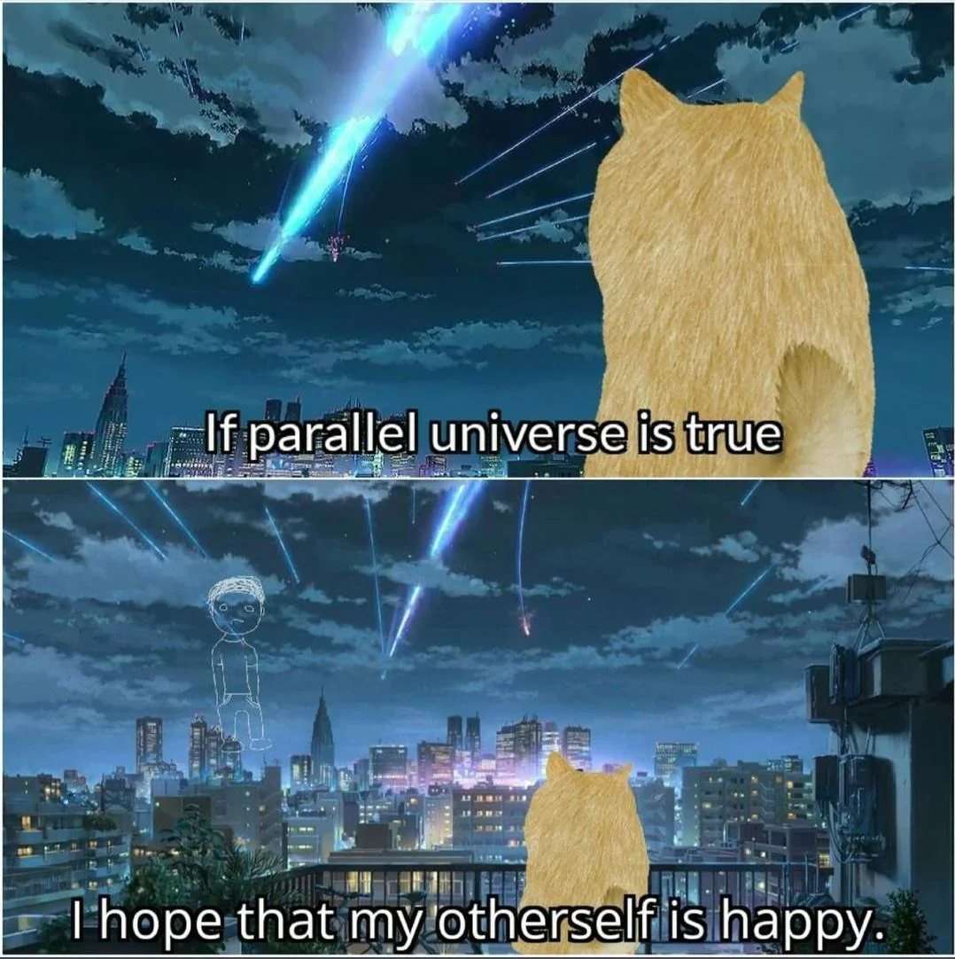 Backwards fluffy golden dog meme watching falling comets wish his parallel self is happy