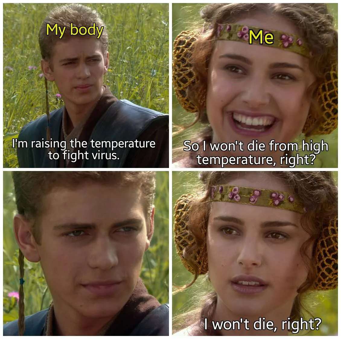 Anakin and padme meme body raises temperature to fight virus me panics about dying