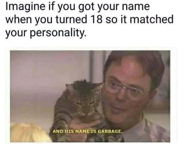 Dwight Schrute meme holds a cat to reveal his personality matching new name