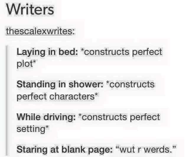 Writer meme about perfect ideas everywhere but the blank page