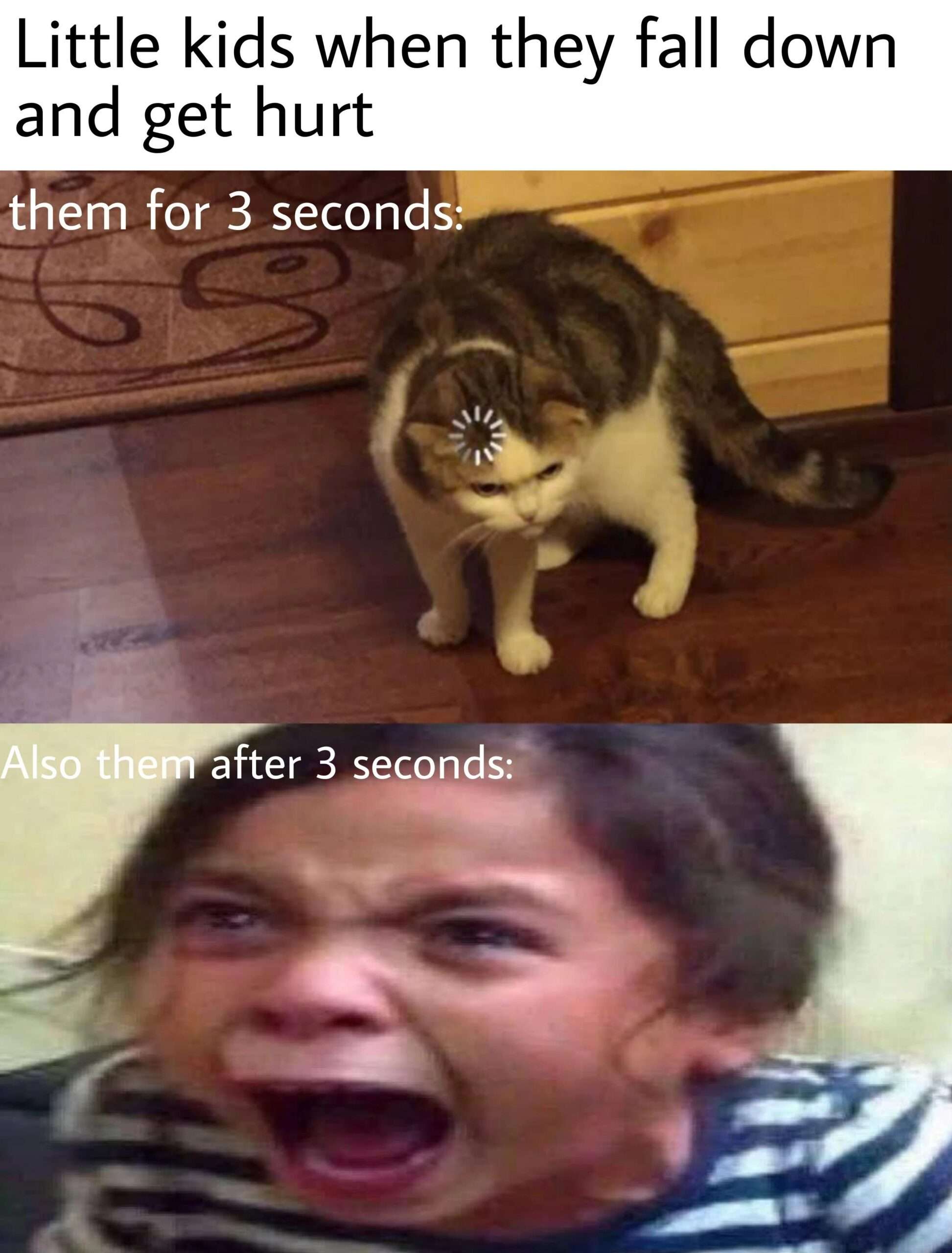 Cat meme of kid's delayed screaming meltdown after falling and getting hurt