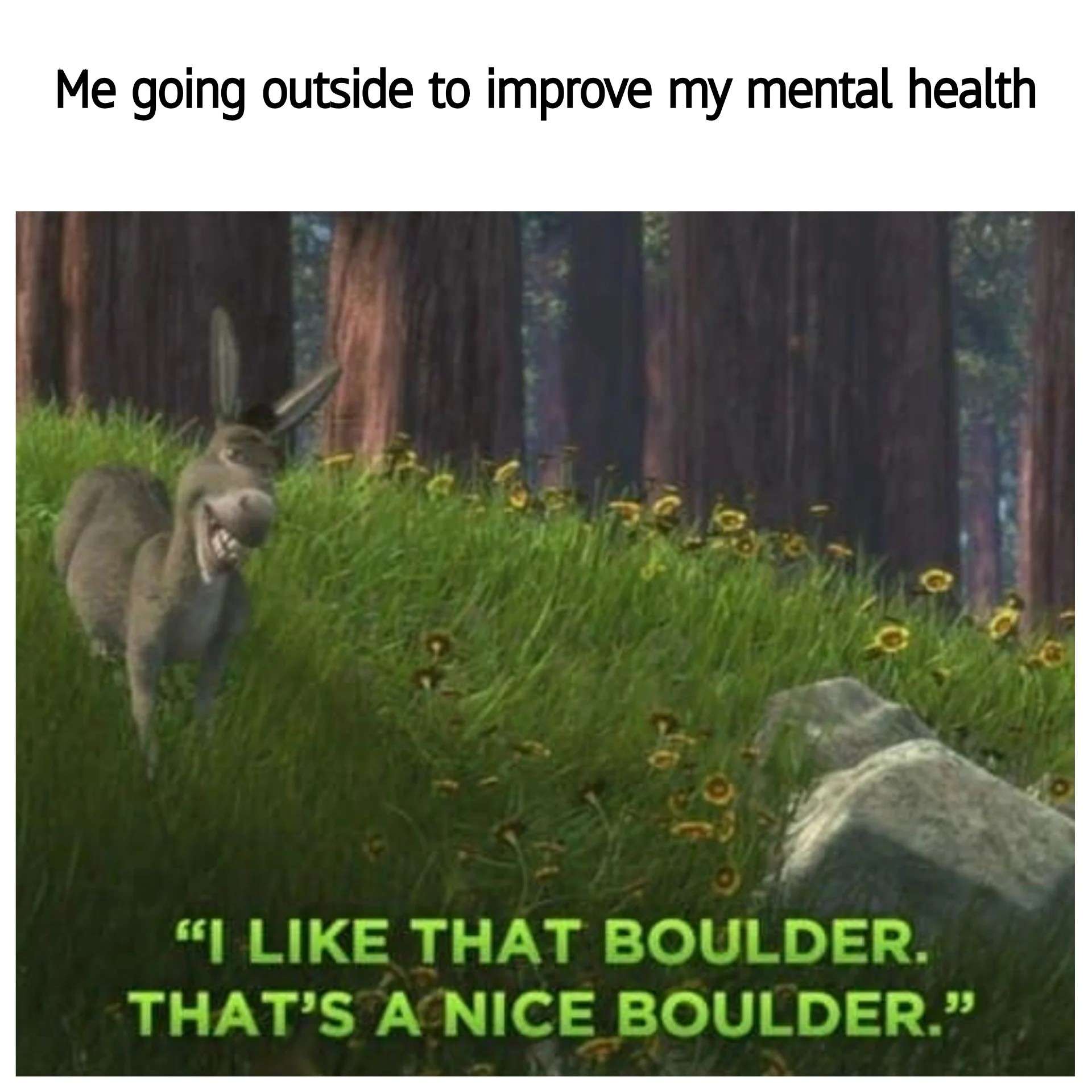 Shrek donkey mental health walk meme talking to a boulder