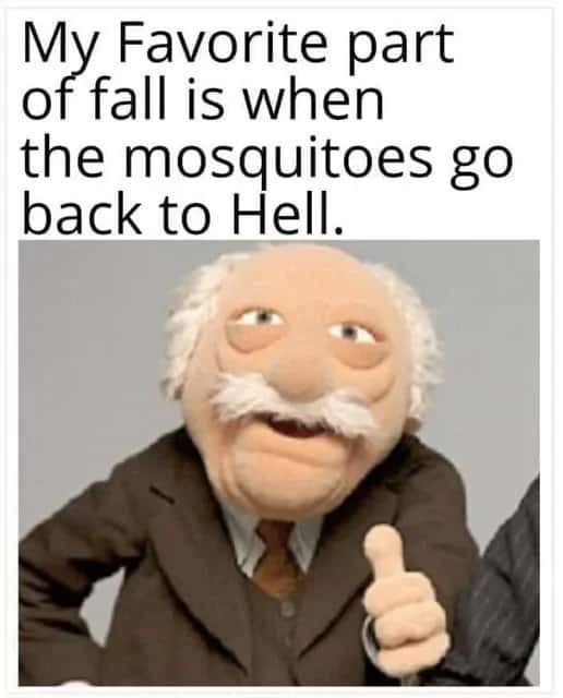 Waldorf meme giving thumbs up when mosquitoes go back to hell in fall