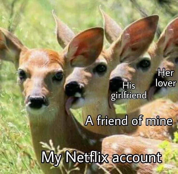 Multi deer meme showing everyone using my netflix account