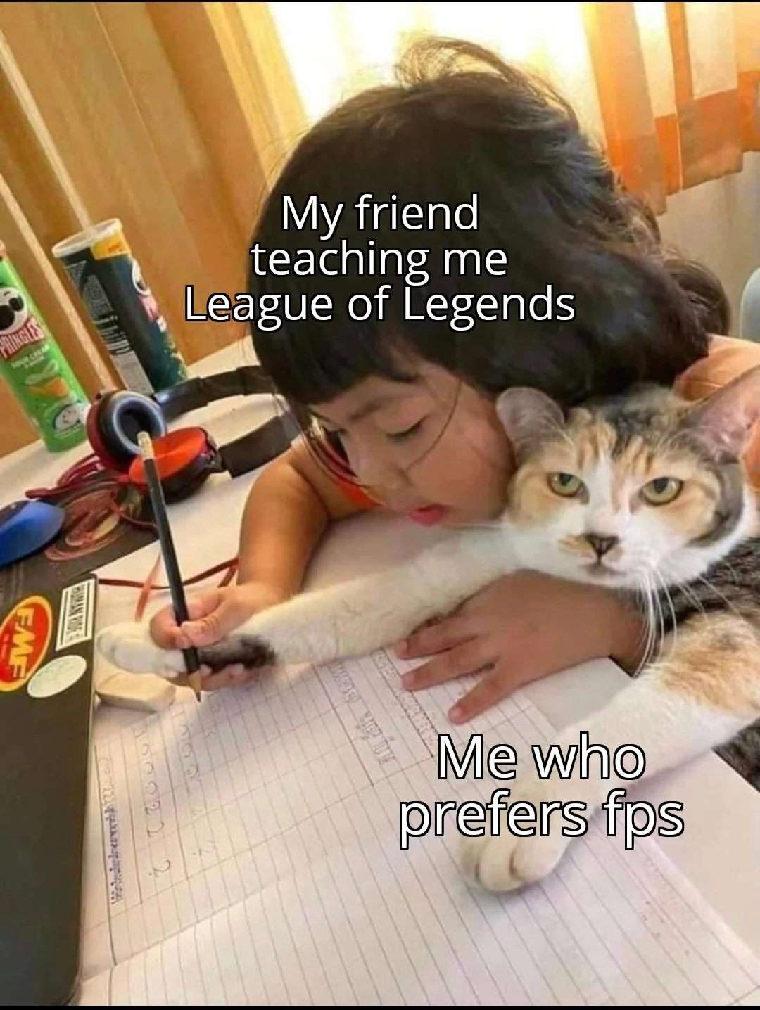 My friend teaching me League of Legends meme cat prefers FPS
