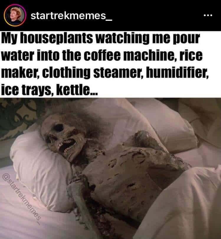 Houseplants meme dying of thirst watching owner pour water to all other appliances