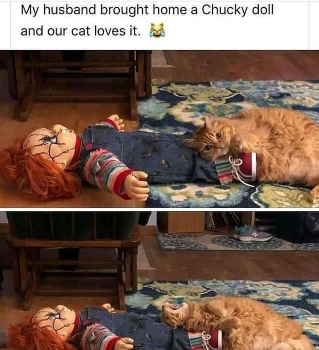 Cat meme loves Chucky doll husband brought home
