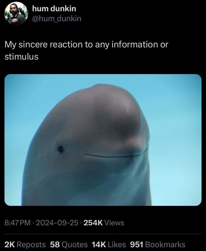 Smiling beluga whale meme showing sincere reaction to any information or stimulus