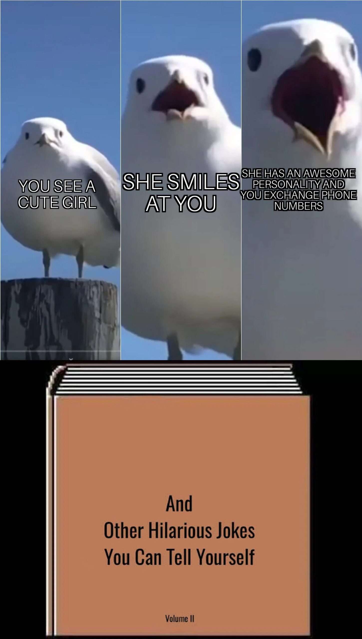 Seagull meme cute girl smiles and exchanges numbers